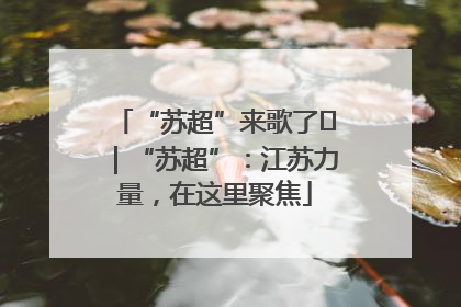 “苏超”来歌了⑪｜“苏超”：江苏力量，在这里聚焦