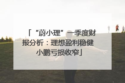 “蔚小理”一季度财报分析：理想盈利稳健 小鹏亏损收窄