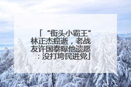 “街头小霸王”林正杰癌逝，老战友许国泰曝他遗愿：没打垮民进党