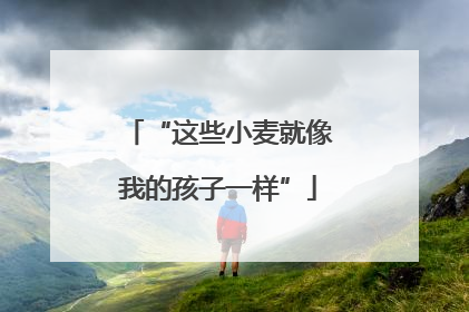 “这些小麦就像我的孩子一样”