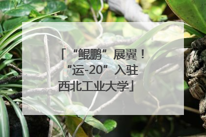 “鲲鹏”展翼！“运-20”入驻西北工业大学