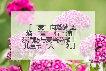 “麦”向燃梦 蓝焰 “童” 行：浦东消防与麦当劳献上儿童节“六一”礼