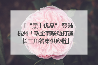 “黑土优品” 登陆杭州！政企商联动打通长三角餐桌供应链