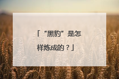 “黑豹”是怎样炼成的？