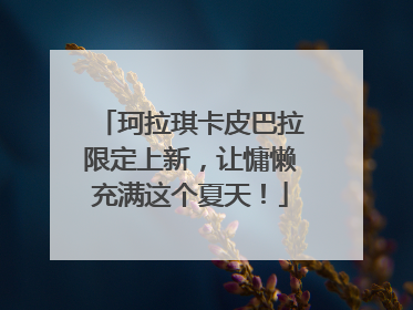 珂拉琪卡皮巴拉限定上新，让慵懒充满这个夏天！