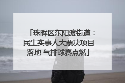 珠晖区东阳渡街道：民生实事人大票决项目落地 气排球赛点燃