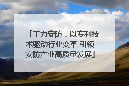 王力安防：以专利技术驱动行业变革 引领安防产业高质量发展