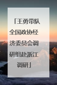王勇带队全国政协经济委员会调研组赴浙江调研