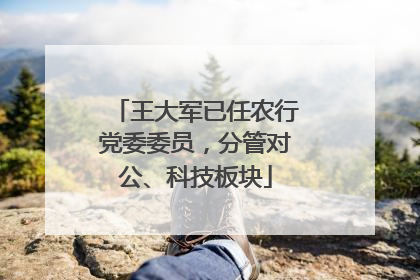 王大军已任农行党委委员，分管对公、科技板块