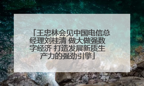 王忠林会见中国电信总经理刘桂清 做大做强数字经济 打造发展新质生产力的强劲引擎