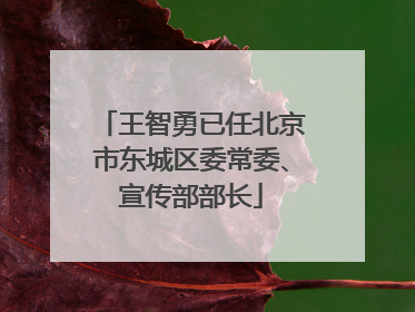 王智勇已任北京市东城区委常委、宣传部部长