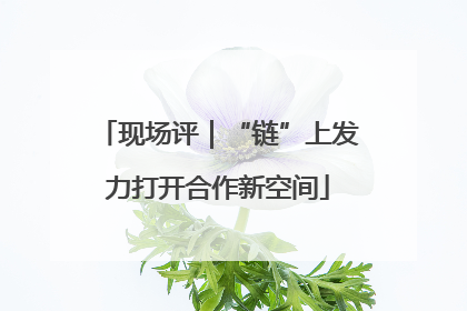 现场评｜“链”上发力打开合作新空间