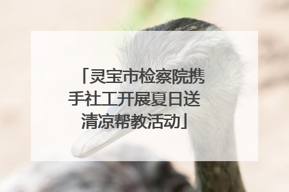 灵宝市检察院携手社工开展夏日送清凉帮教活动