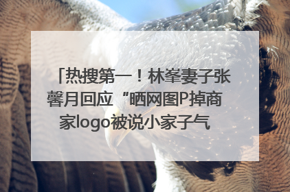 热搜第一！林峯妻子张馨月回应“晒网图P掉商家logo被说小家子气”：没那么多想法，可能有人恶意解读