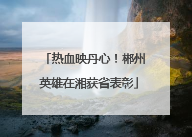 热血映丹心！郴州英雄在湘获省表彰
