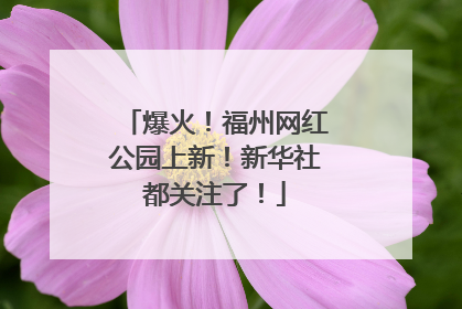 爆火！福州网红公园上新！新华社都关注了！