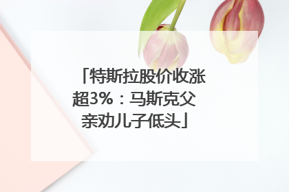 特斯拉股价收涨超3%：马斯克父亲劝儿子低头