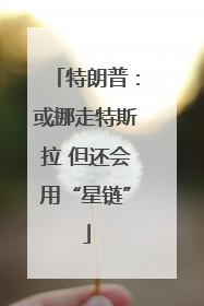特朗普：或挪走特斯拉 但还会用“星链”