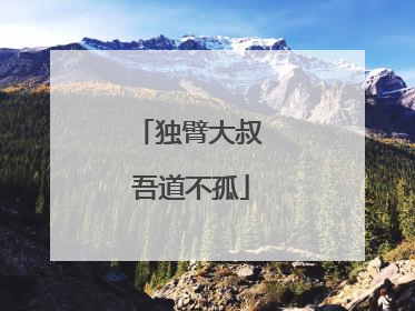 独臂大叔 吾道不孤