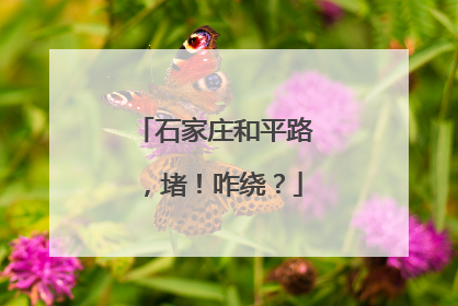 石家庄和平路，堵！咋绕？