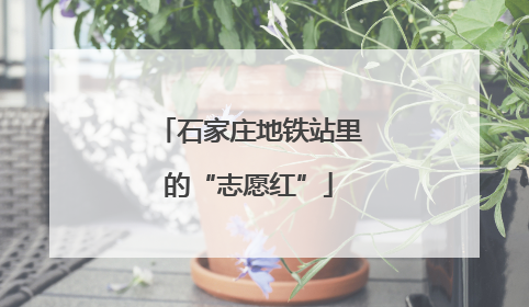 石家庄地铁站里的“志愿红”