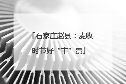 石家庄赵县：麦收时节好“丰”景