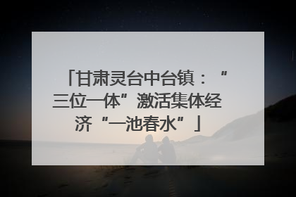 甘肃灵台中台镇：“三位一体”激活集体经济“一池春水”