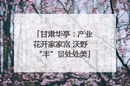 甘肃华亭：产业花开家家富 沃野“丰”景处处美