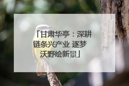 甘肃华亭：深耕链条兴产业 逐梦沃野绘新景