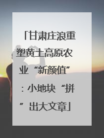 甘肃庄浪重塑黄土高原农业“新颜值”：小地块“拼”出大文章