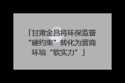 甘肃金昌将环保监管“硬约束”转化为营商环境“软实力”