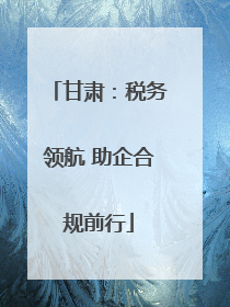 甘肃：税务领航 助企合规前行