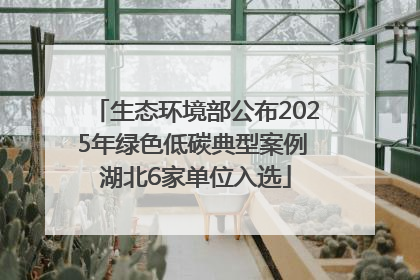 生态环境部公布2025年绿色低碳典型案例 湖北6家单位入选