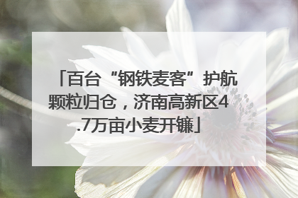 百台“钢铁麦客”护航颗粒归仓，济南高新区4.7万亩小麦开镰