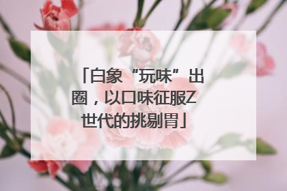白象“玩味”出圈，以口味征服Z世代的挑剔胃