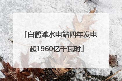 白鹤滩水电站四年发电超1960亿千瓦时