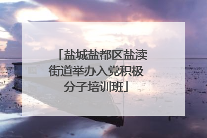盐城盐都区盐渎街道举办入党积极分子培训班