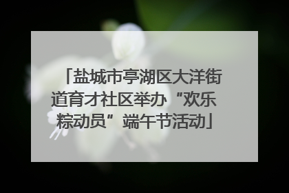 盐城市亭湖区大洋街道育才社区举办“欢乐粽动员”端午节活动