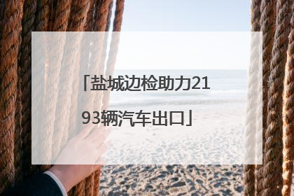盐城边检助力2193辆汽车出口