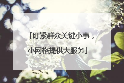 盯紧群众关键小事，小网格提供大服务