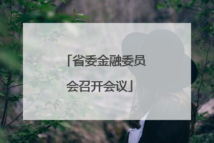 省委金融委员会召开会议