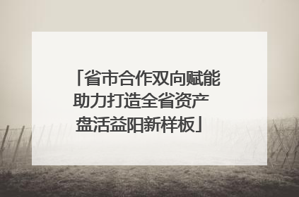 省市合作双向赋能 助力打造全省资产盘活益阳新样板