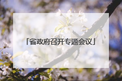 省政府召开专题会议