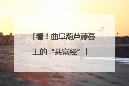 看！曲阜葫芦藤蔓上的“共富经”