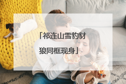 祁连山雪豹豺狼同框现身