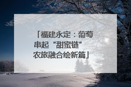 福建永定：葡萄串起“甜蜜链” 农旅融合绘新篇