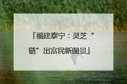 福建泰宁：灵芝“链”出富民新图景