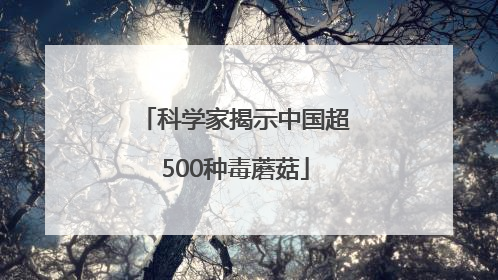 科学家揭示中国超500种毒蘑菇