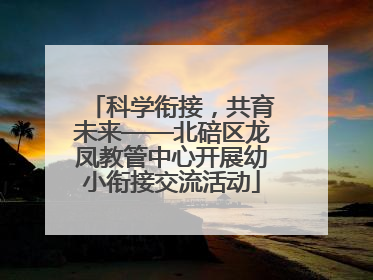 科学衔接，共育未来——北碚区龙凤教管中心开展幼小衔接交流活动