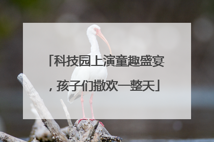 科技园上演童趣盛宴，孩子们撒欢一整天